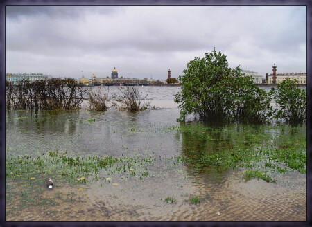 Вода... вода... кругом вода...