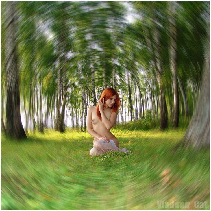 Чары Нимфы лесной... 