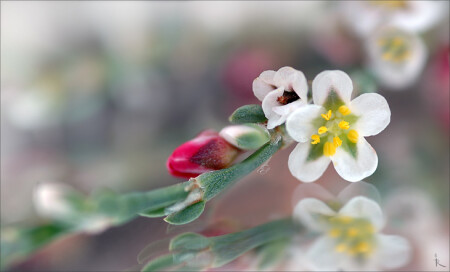 Подглядывая в зеркало украдкой
