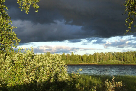 после грозы 