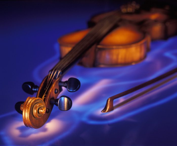 Violin