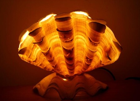 Shell