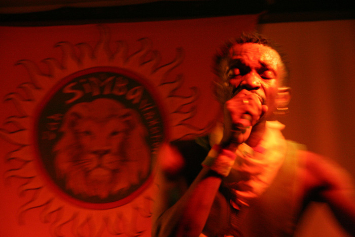 Simba Vibration