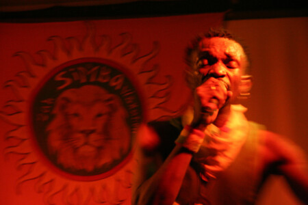 Simba Vibration