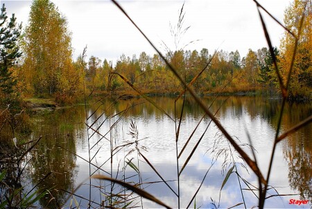 Лесное озерко