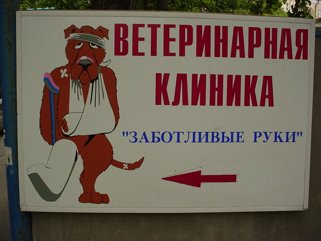 Заботливые руки приводят к...