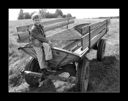Ах, телега ты моя...