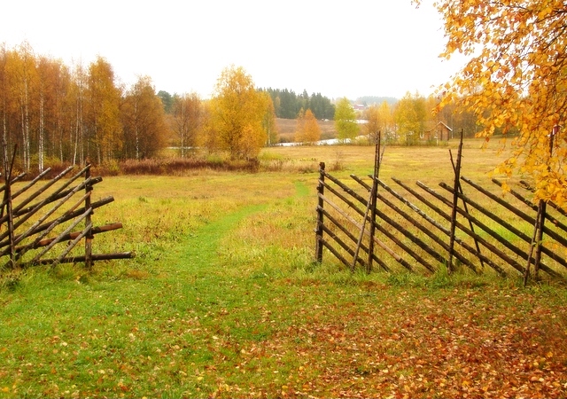 не серая осень