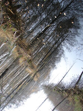 фото без редактирования 