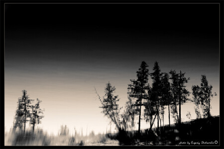 отражения