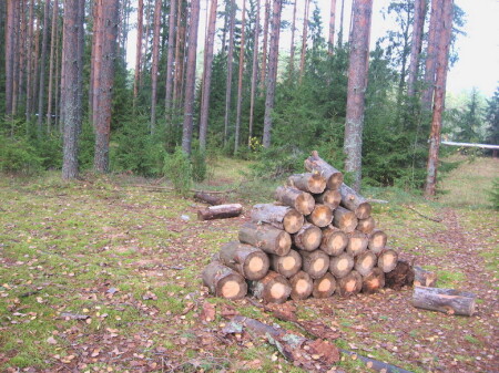 Осень 2006г - 7)