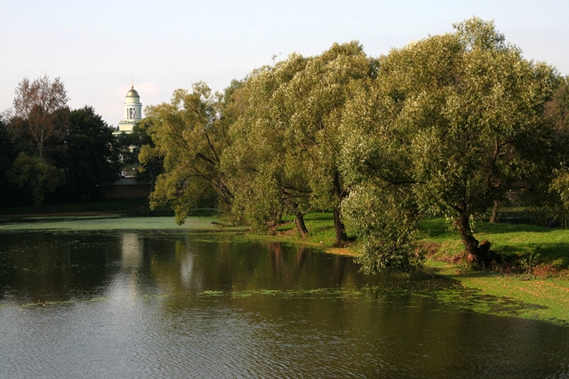старый пруд