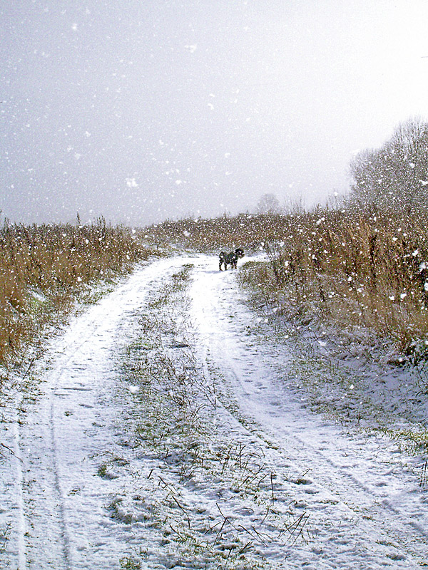 снег