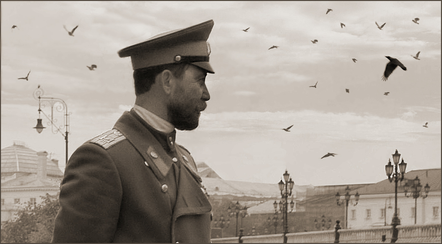 вороны