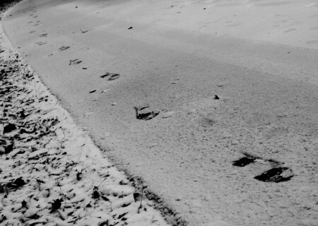 run away...