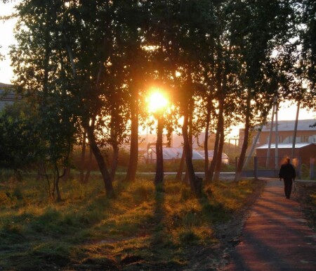 Холодное утро