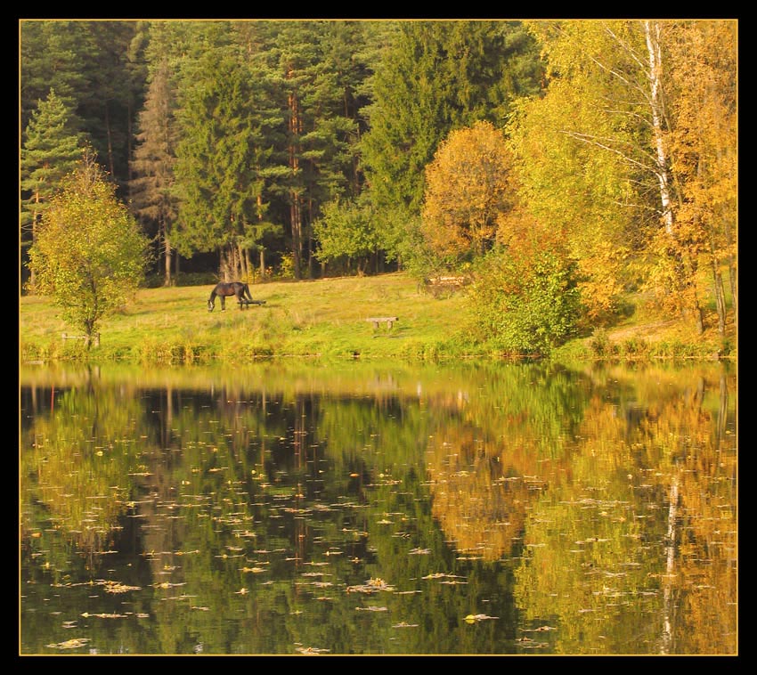 Осенний пруд