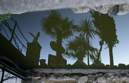 ..продолжение сна..