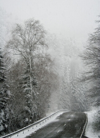 Первый снег.
