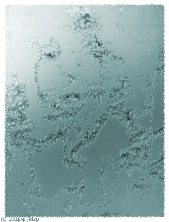 Автограф зимы