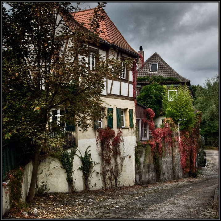 German Autumn *** 3