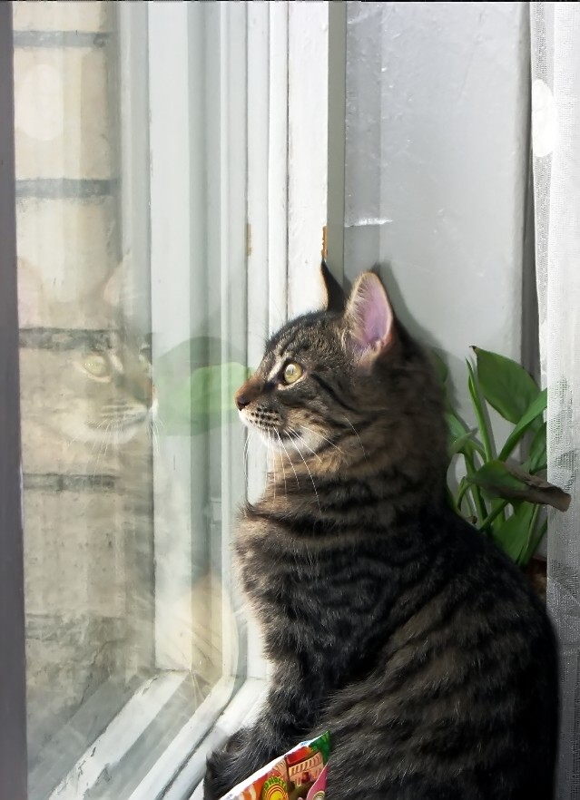 а ты хто?