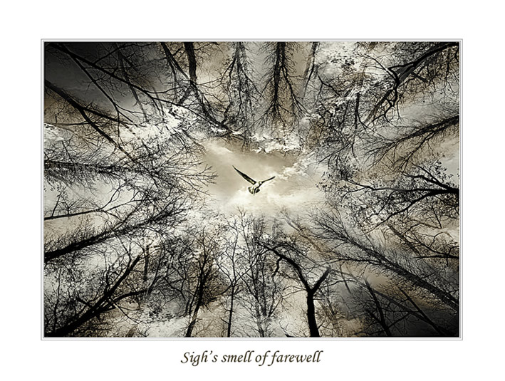 Sigh's smell of Farewell.