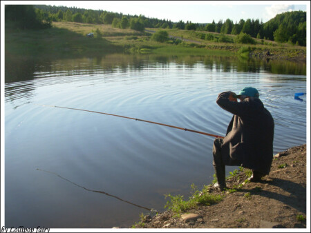 Рыбы нет...