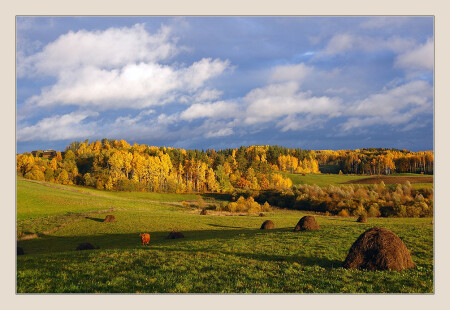 Жёлтая осень