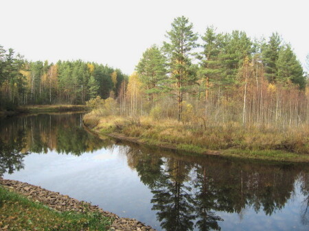Осень 2006г - 9)