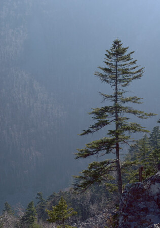 На краю... [Falaza]