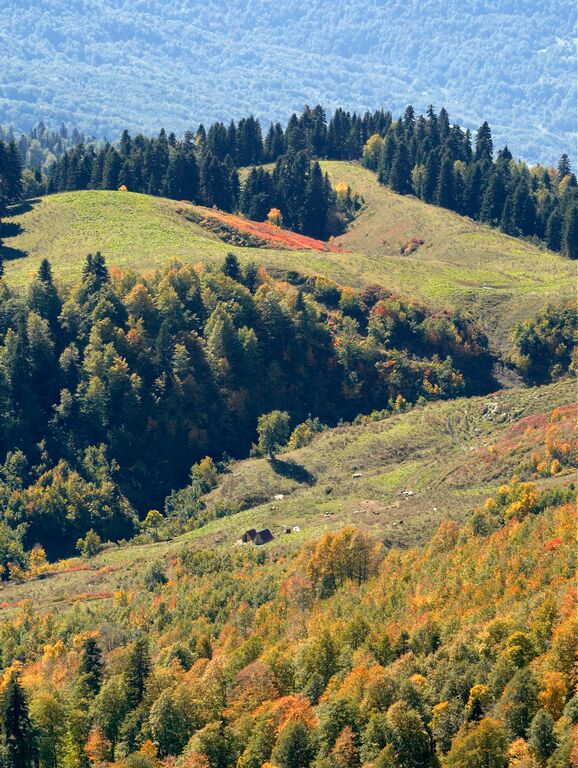 Горы кавказа