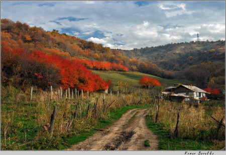 Предгорья Алматы
