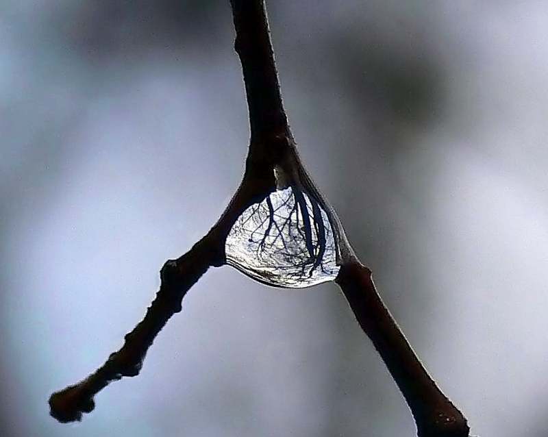 drop