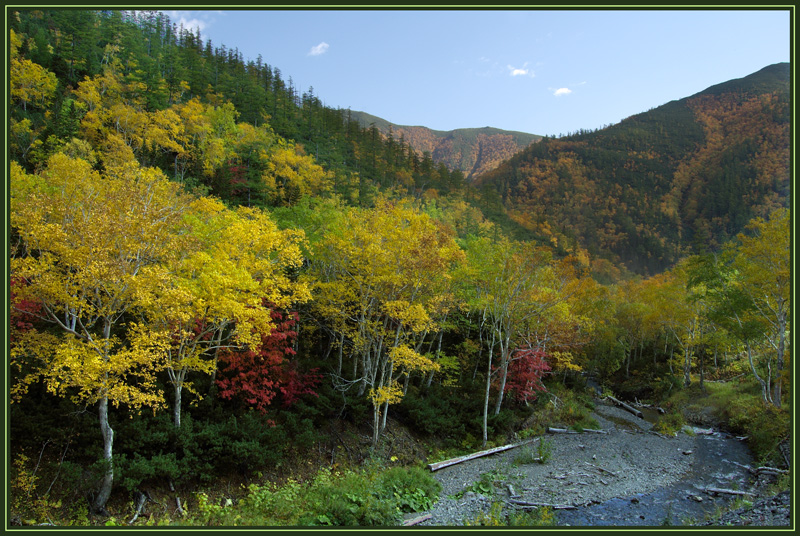 Краски осени