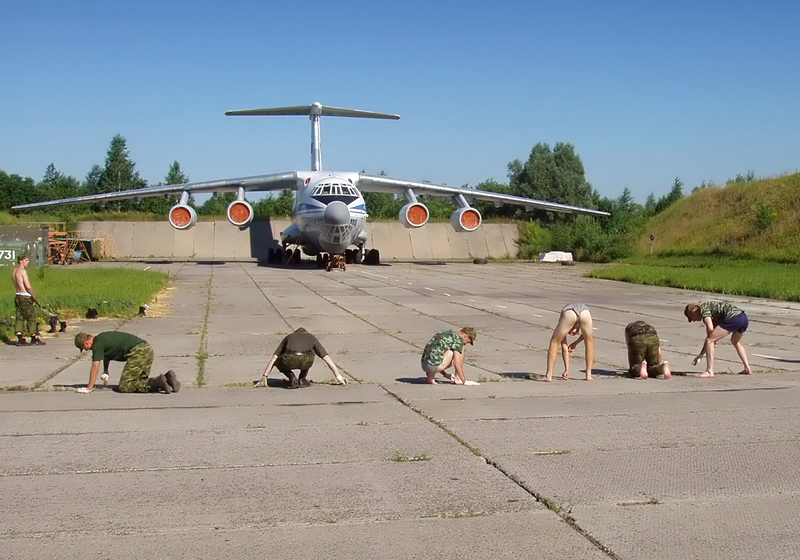 Пока травку не повыщипываете, домой не полетите!!!