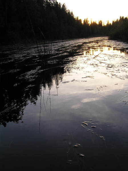 Водный мир
