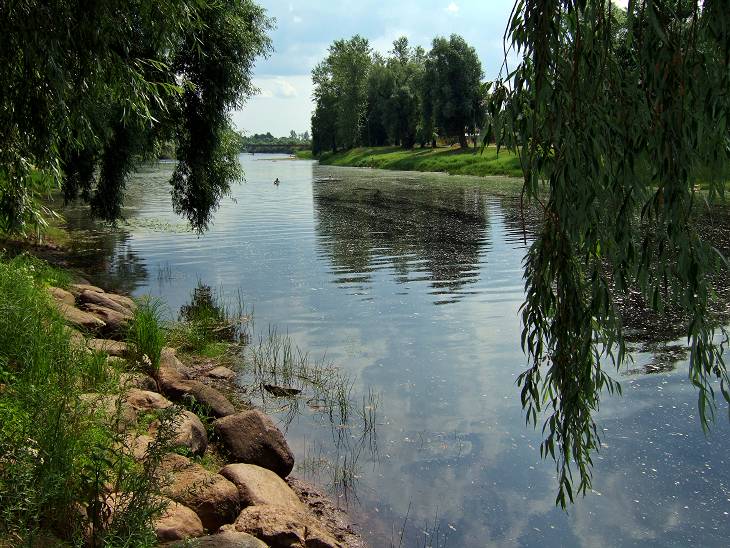 Купание близ набережной Достоевского.