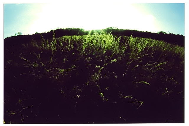 field