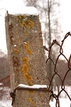 Зона_1