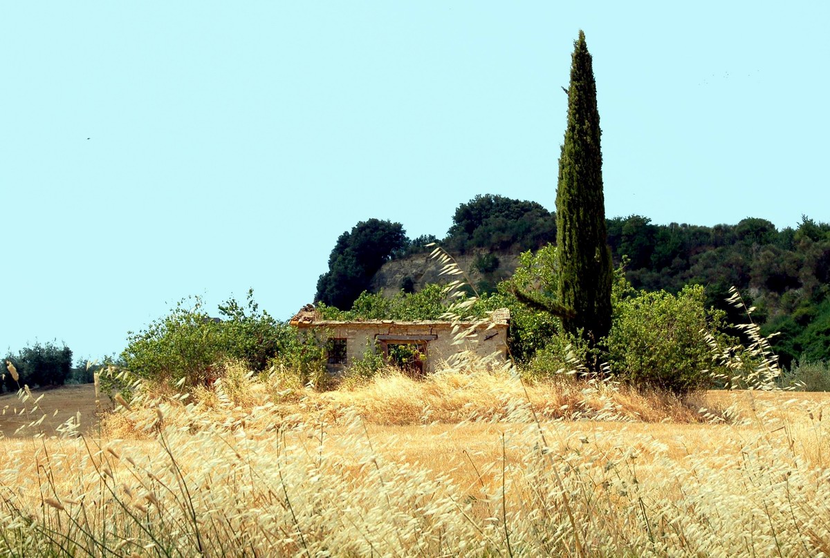 Campagna Senese. Toscana.
