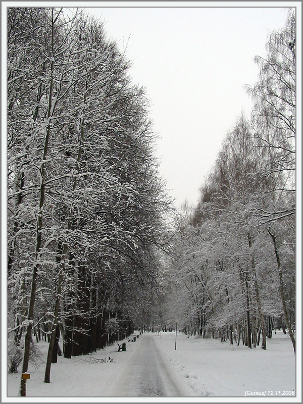 Аллея в Архангельском