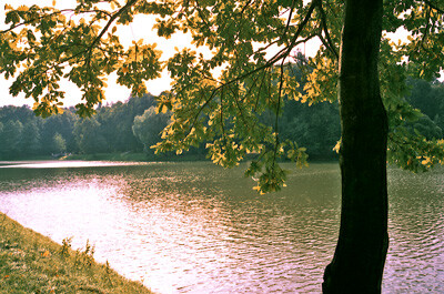 Умиротворение