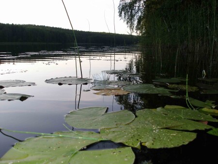 озеро в Карелии