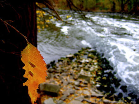 Последний лист