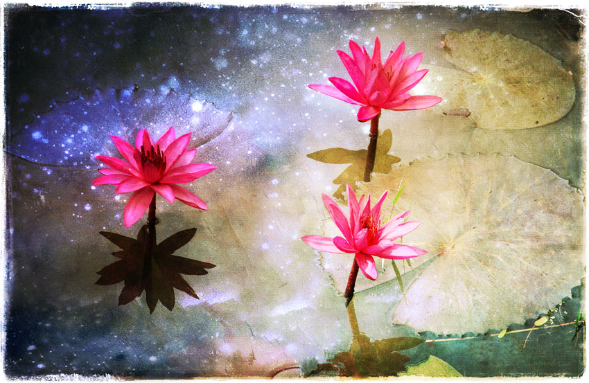 Om Mani Padme Hum...