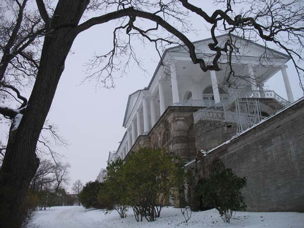Вид Царского села