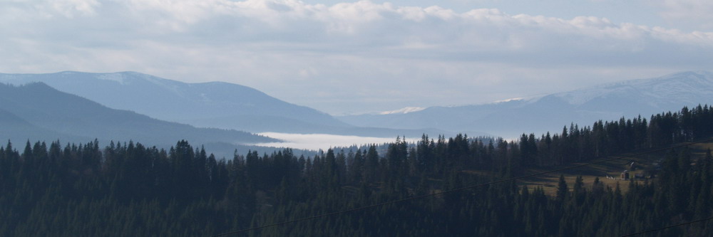 говерла