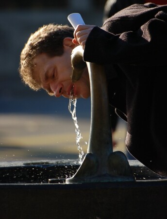 утро добрым не бывает...