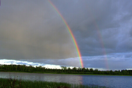 мир, разделенный радугой